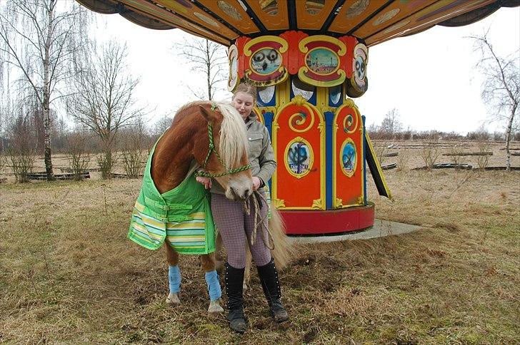 Haflinger Winston *RIP* - Mig og Winston foran en gammel karrusel i det nedlagte fun park fyn billede 16