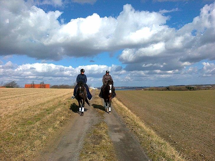 Westfaler Nisgaards Rosalina - Skov- og strandtur marts 2011 billede 16