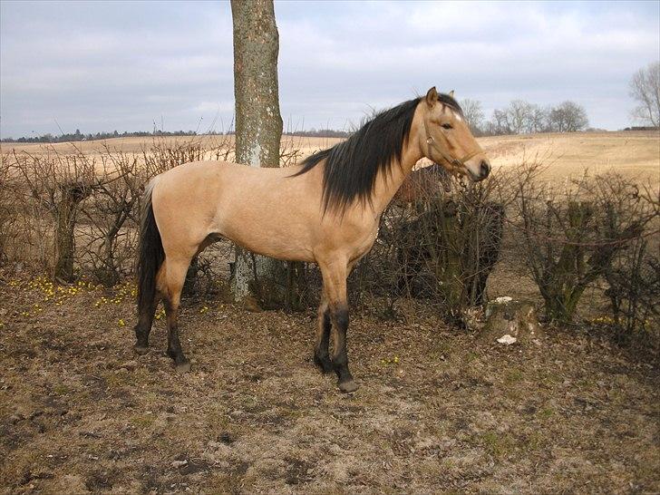 Anden særlig race night  billede 1