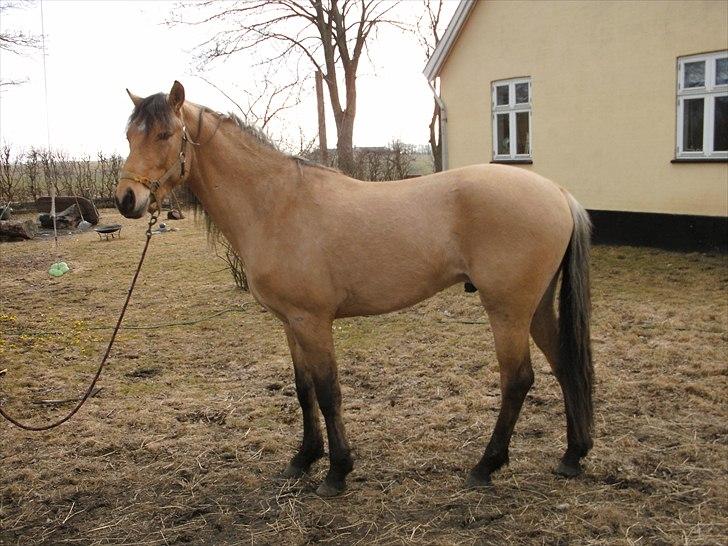 Anden særlig race night  billede 2