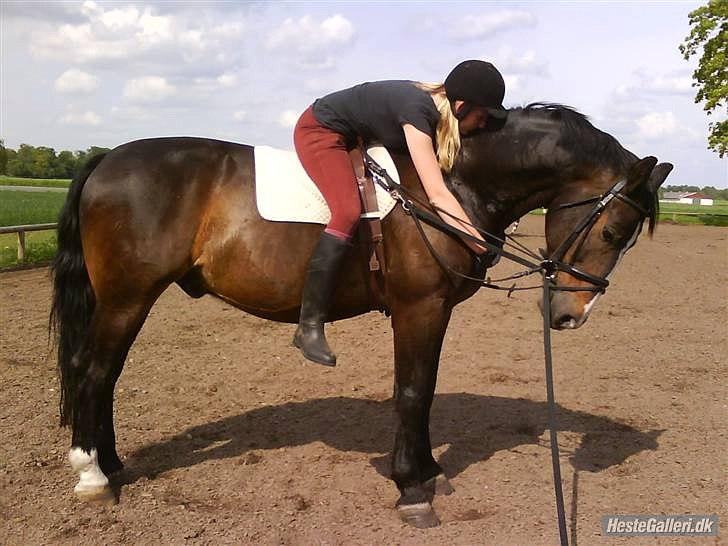 Oldenborg Tarzan Anholm - Lille T skulle lige træne en gammel part i korrekt opstilling... men det er også tid til pjat og hygge XD billede 18