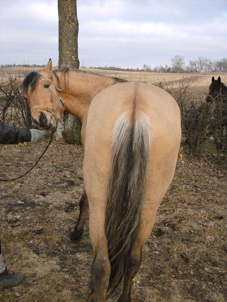 Anden særlig race night  billede 5