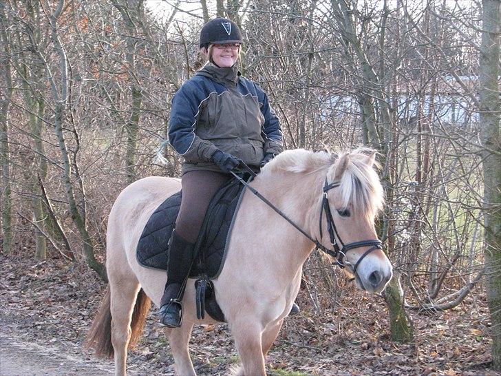 Fjordhest Romeo´s Elli - På vej hjem efter en dejlig tur.  billede 10