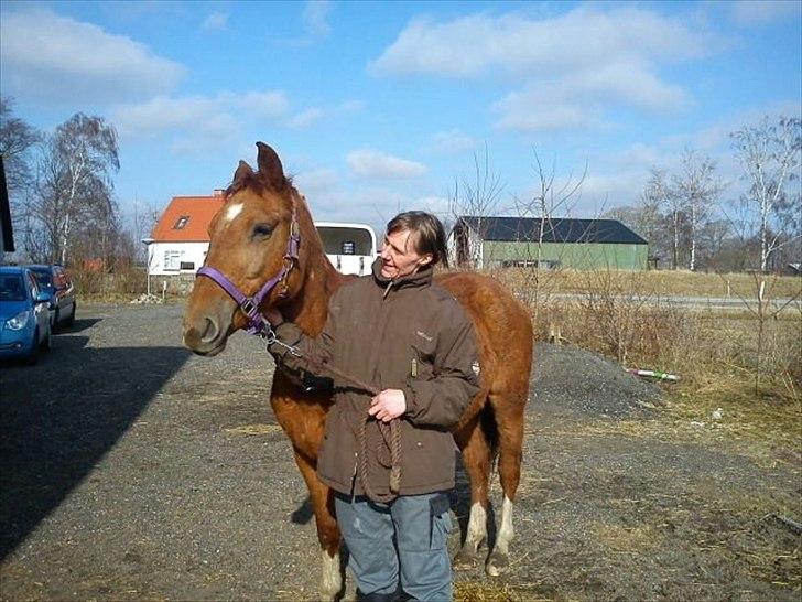 Anden særlig race OFELIA " Himmelhest" billede 1
