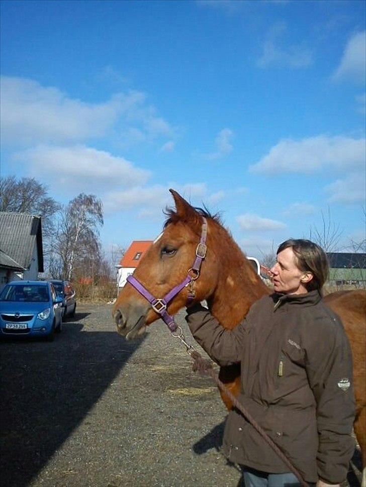 Anden særlig race OFELIA " Himmelhest" billede 2