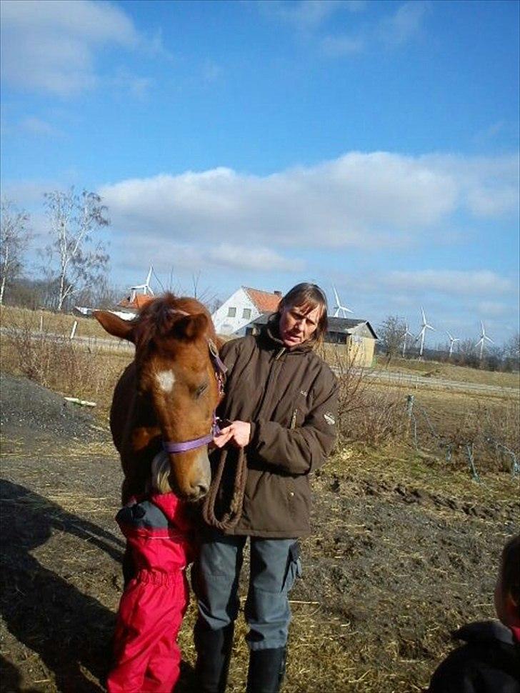 Anden særlig race OFELIA " Himmelhest" billede 3