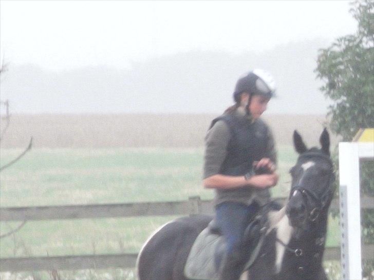 Pinto Hot pinto - I wish I could still just look at you, and wish .. that everything would be fine in some time.. billede 18