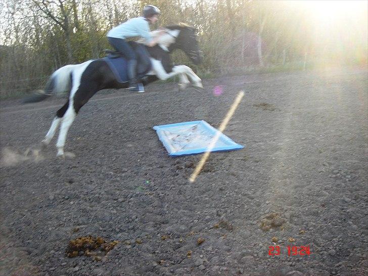 Pinto Hot pinto - I MISS YOU! I CANT FORGET YOU, AND I NEVER WILL. BUT I WILL TRY TO LET YOU FLY NOW, MY ANGEL. billede 20