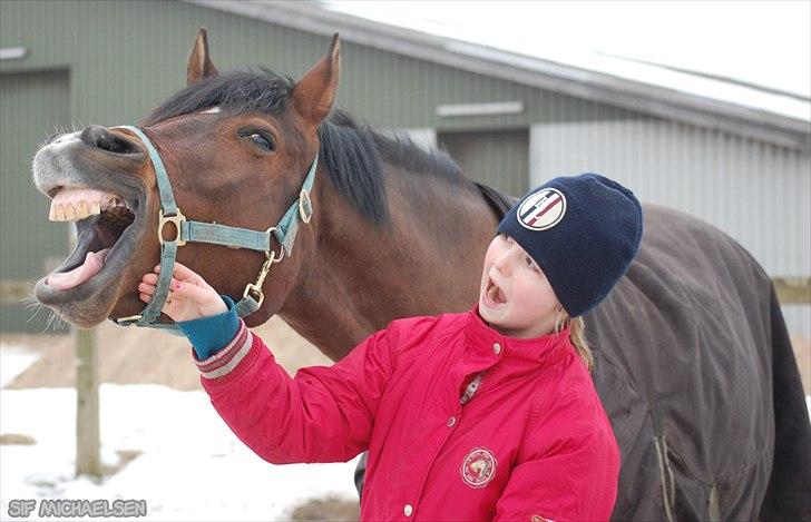 Anden særlig race Garcon billede 19