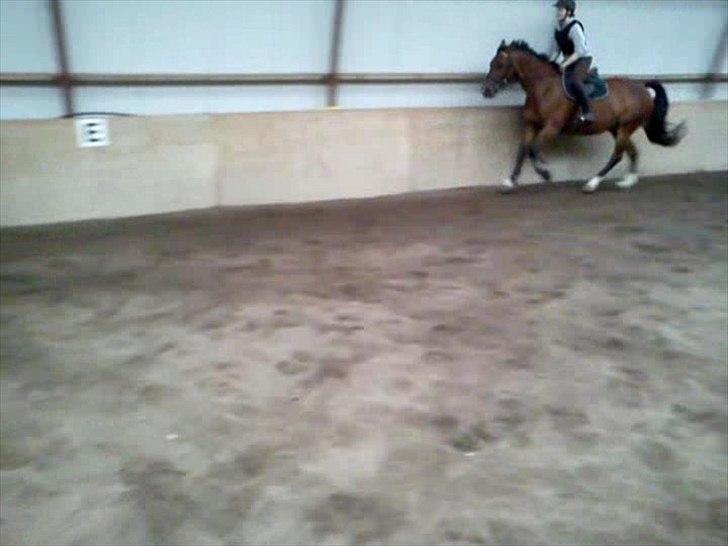 Anden særlig race Mulan - Galop :P billede 12