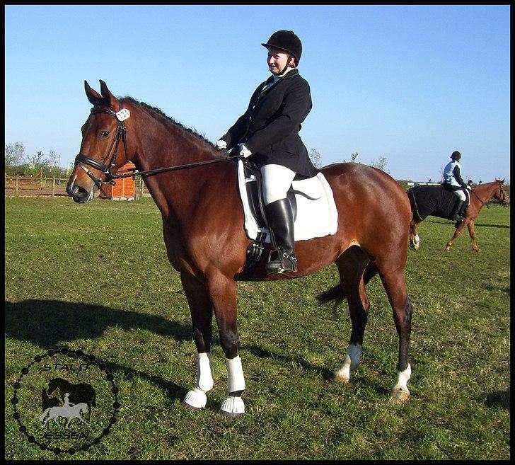 Anden særlig race Mulan - Mulan & Kari til stævne :-) billede 13