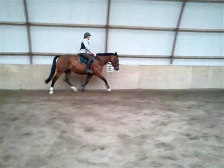 Anden særlig race Mulan billede 14