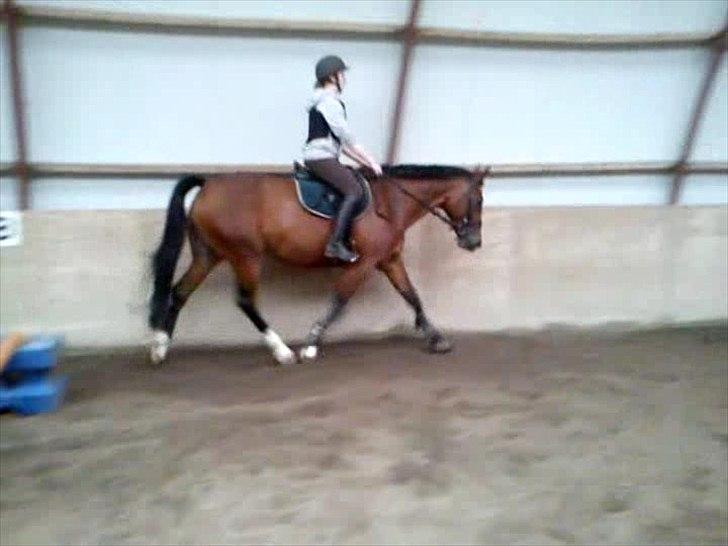 Anden særlig race Mulan billede 15