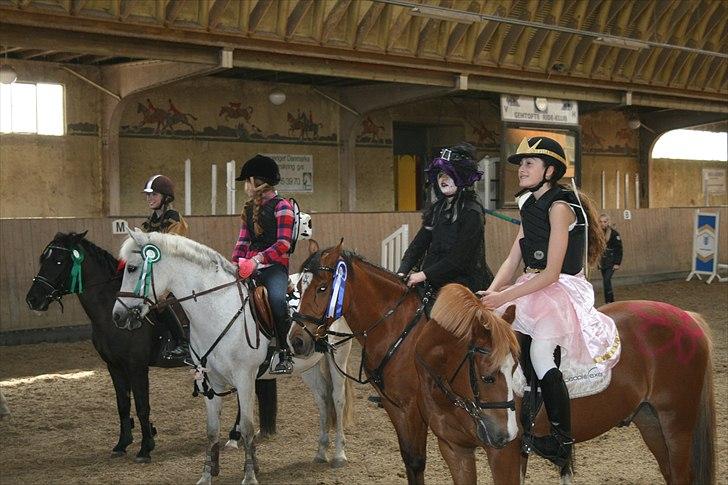 Anden særlig race Joke. <33 - 2 plads til fastelavnsstævne love you joke <3 billede 16