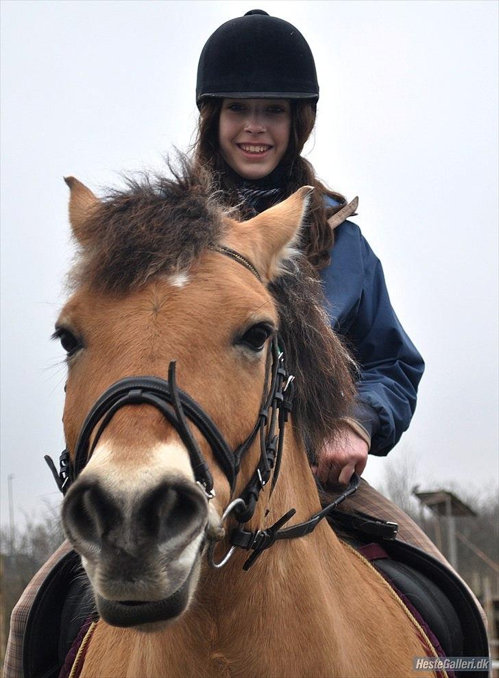 Anden særlig race Tyson billede 2