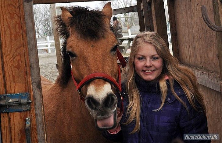 Anden særlig race Tyson billede 3