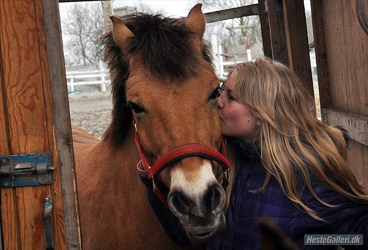 Anden særlig race Tyson billede 4