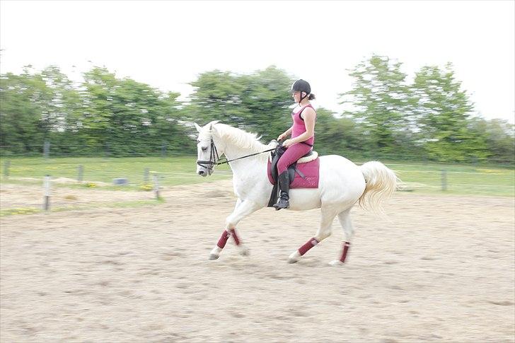 Sportsaraber (A) Kingston *Mindreng* - Velkommen til min profil :D  billede 3