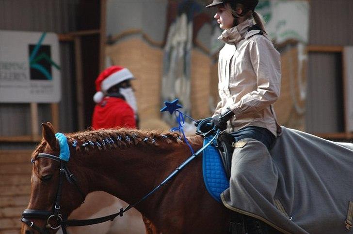 Anden særlig race Pasadena "tyksakken"<3. - Fastalavn´s Ringridning, vi fik to ringe i trav, første gang vi prøver det. billede 9