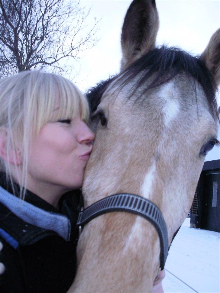 Anden særlig race Camino billede 5