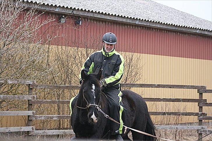 Oldenborg Stald Kock´s Romeo billede 18