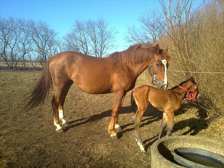 Oldenborg Stald Amour´s Jacuzzi - uhh hvor er jeg.. det her er helt nyt.. billede 9