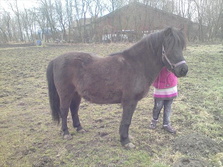 Anden særlig race lady billede 12
