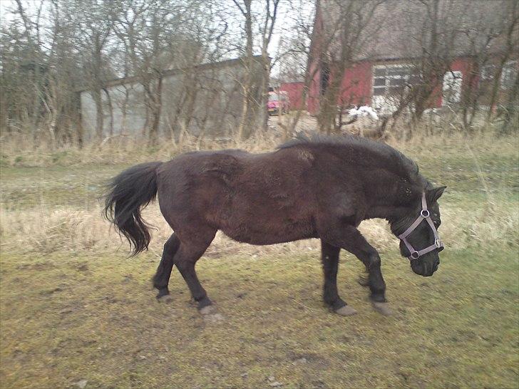 Anden særlig race lady billede 13