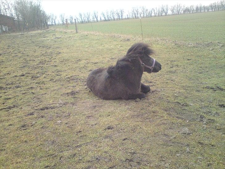 Anden særlig race lady billede 14