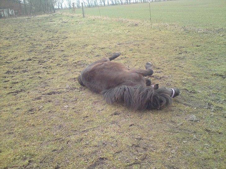 Anden særlig race lady billede 15
