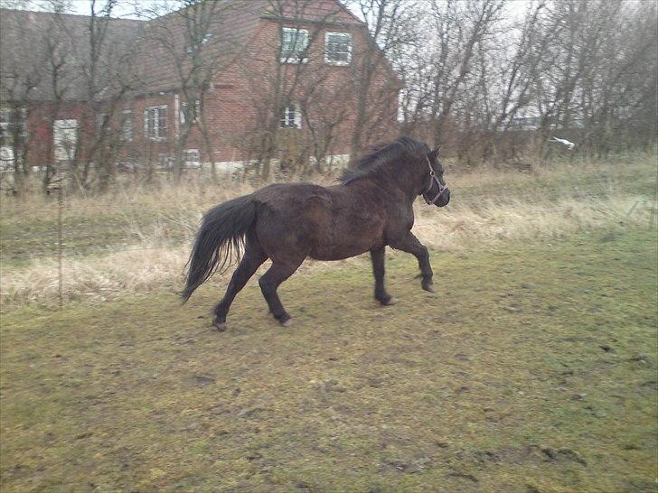 Anden særlig race lady billede 17