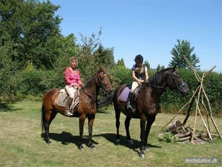 Oldenborg Zeus - Red - her er vi på tur billede 3