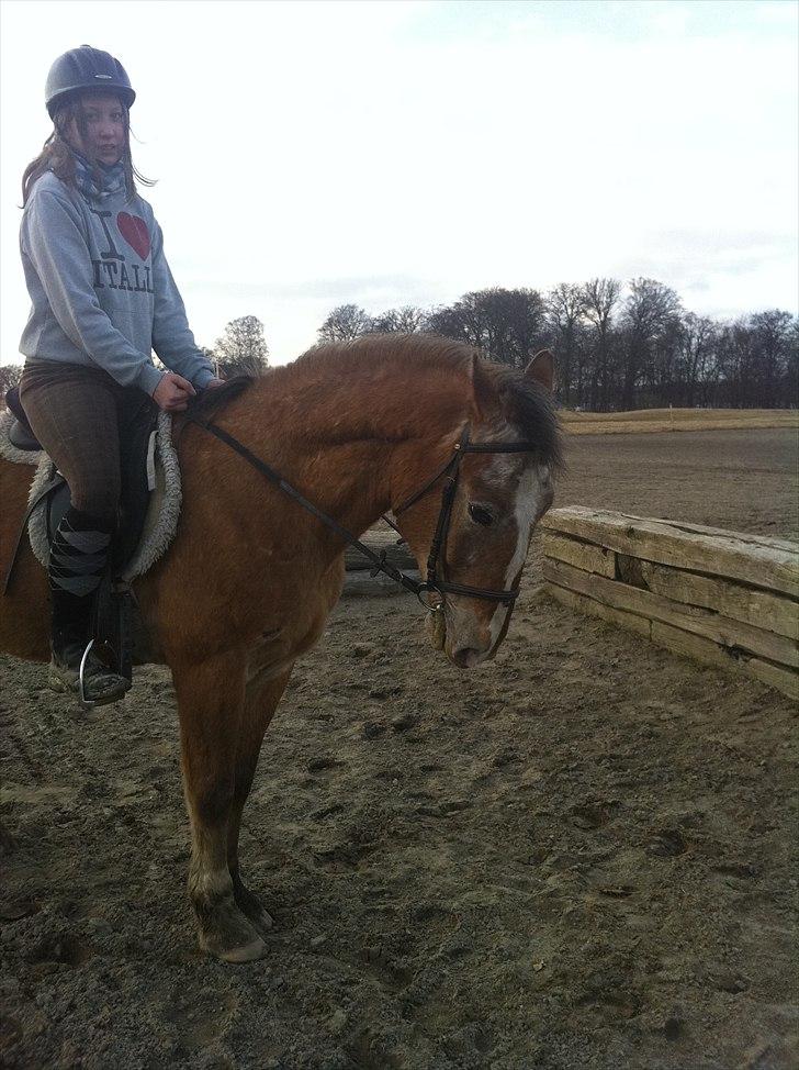 Anden særlig race Mr.X - så dygtig billede 5