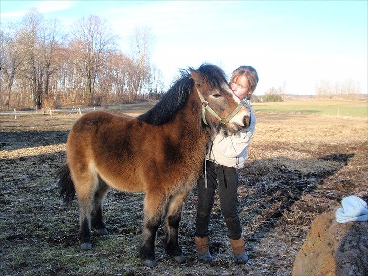 Anden særlig race Sofus billede 6