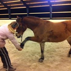 Anden særlig race Rose<3