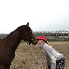 Quarter Peppys Smart Player