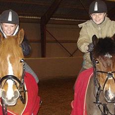 Anden særlig race Painted Beauty SOLGT