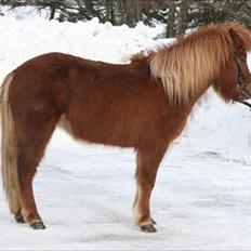 Islænder Frigg Fra Kirkehøj