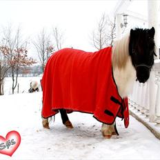 Anden særlig race Søs