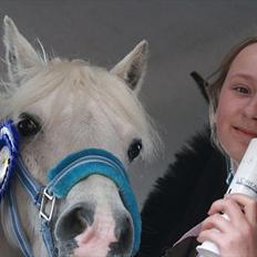 Welsh Pony (sec B) beauty