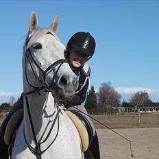 Anden særlig race Sonny Boy