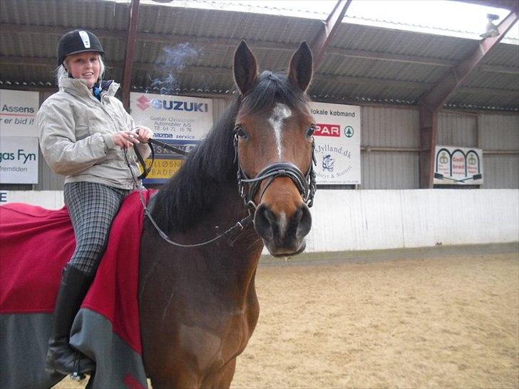 Dansk Varmblod Haxholms Celina - Så skridter vi lige af efter en god ride tur, og vi hygger os rigtigt meget <3 billede 2