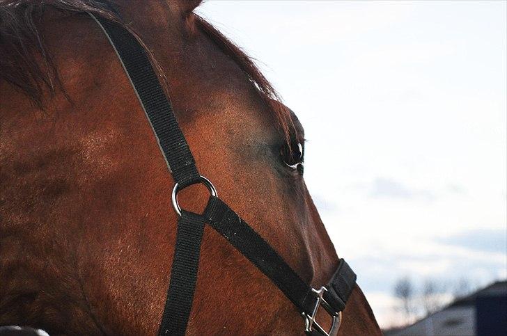 Frederiksborg Mercur - Solgt - Uhhh..... Hvem er det? billede 3