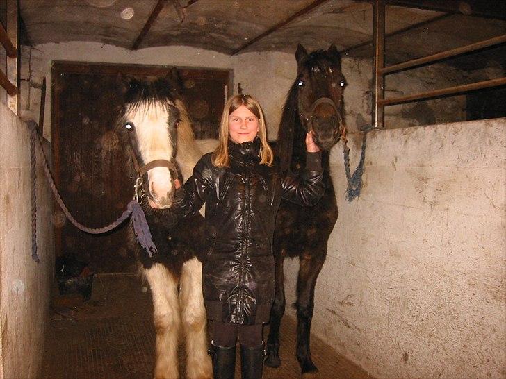 Tinker Connor billede 11