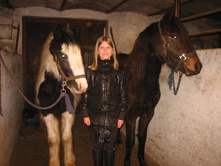 Tinker Connor billede 14