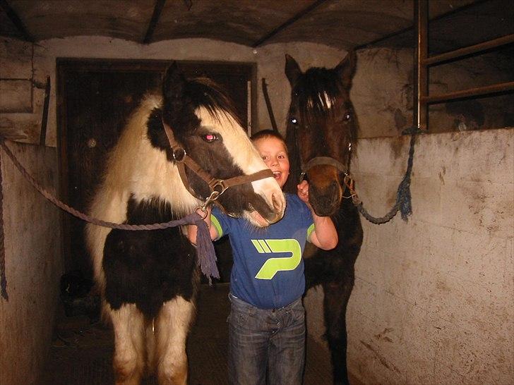 Tinker Connor billede 15