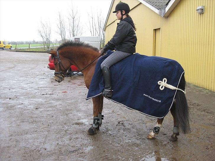 Anden særlig race Pepsi B. billede 17