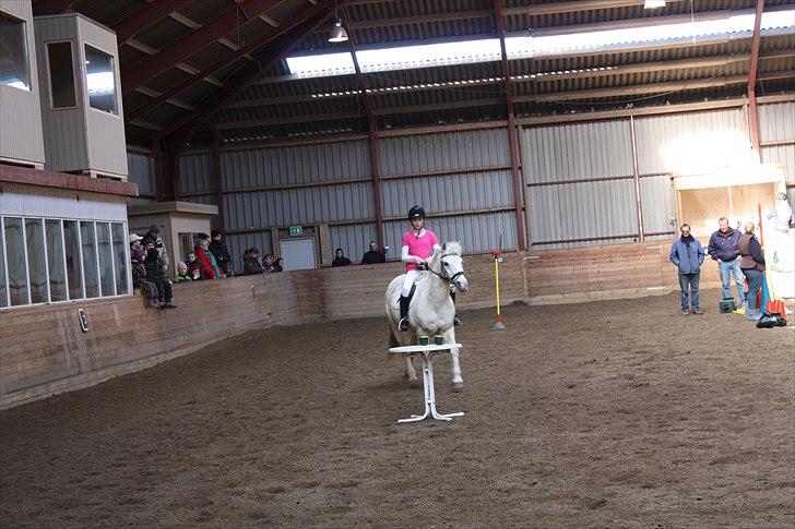 Anden særlig race snowball - ponygames :D maria og snebold i bord dæk dig billede 13