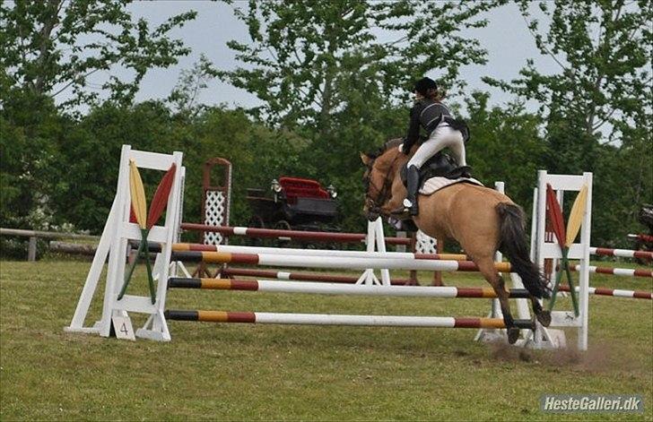 Anden særlig race Bertha-Louise billede 7