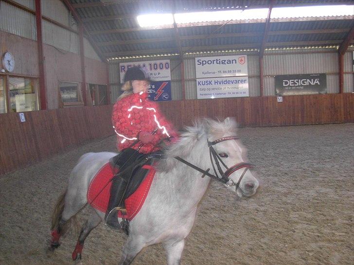 Anden særlig race Grey Star billede 12